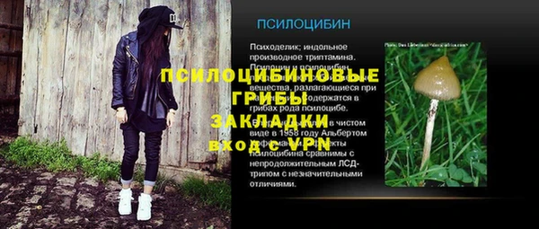 дмт Краснослободск
