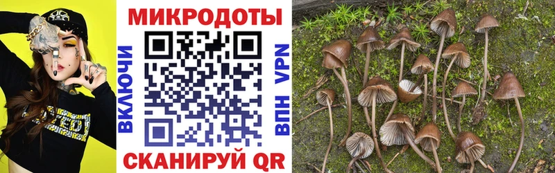 Купить закладки  Орехово-Зуево  Псилоцибиновые грибы ЛСД 