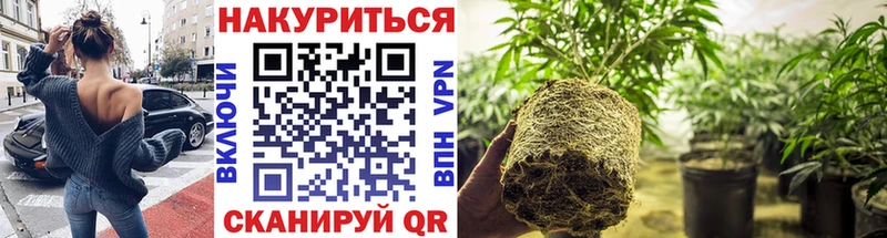 Купить где Орехово-Зуево Канабис Amnesia
